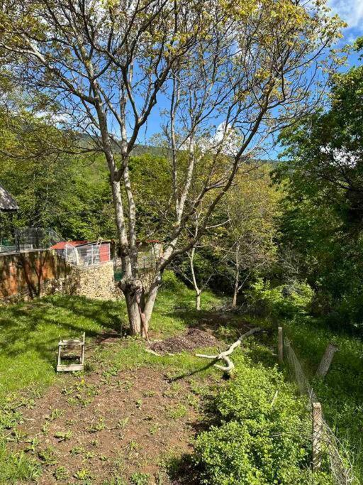 Cosy Mountain Villa In Nizepole Bitola Exterior photo