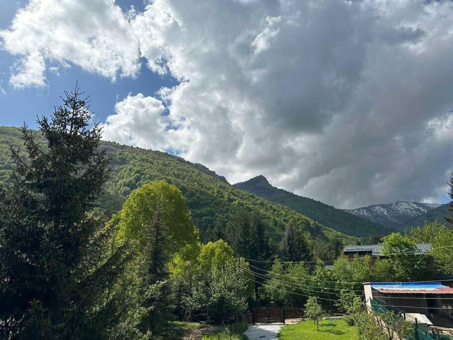 Cosy Mountain Villa In Nizepole Bitola Exterior photo